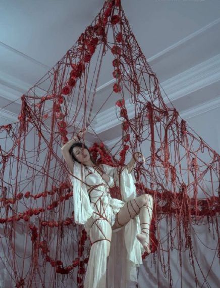 女人品格免费观看电视剧
